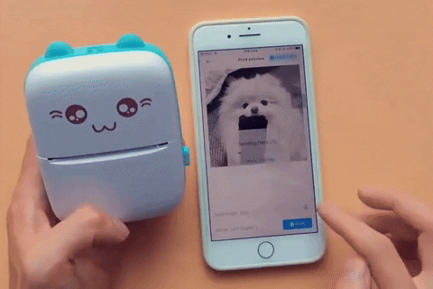 Mini impresora térmica + 6 rollos gratis (No adhesivos)